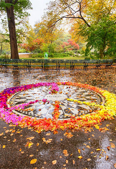 strawberryfield1