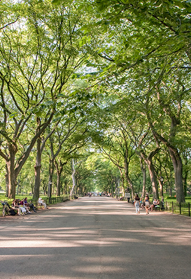 The Mall & Literary Walk