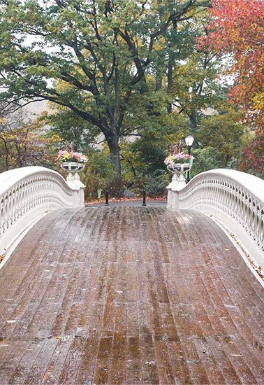 thebowbridge1